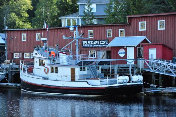 Depois do passeio das baleias, voltando à Telegraph Cove, em Vancouver Island, na Columbia Britânica, costa oeste do Canadá